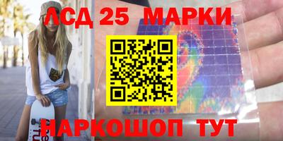 крисы Славгород
