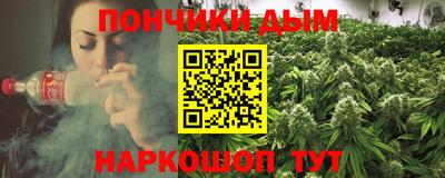 крисы Славгород